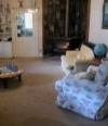 Arcady Homestead - Tourism Gold Coast 2