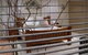 One Tree Bed And Breakfast - thumb 4