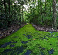 Booderee National Park Green Patch Camping Area - Tourism Gold Coast