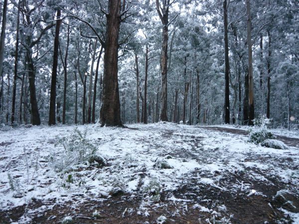 Fumina South VIC Tourism Gold Coast