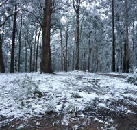 High Peaks Cottages - Tourism Gold Coast