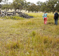 Carnarvon National Park camping - Tourism Gold Coast