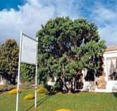 Robe Haven Motel - Tourism Gold Coast