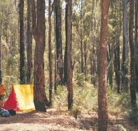 Nanga Mill Camp at Lane Poole Reserve - Tourism Gold Coast