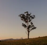 Faulls Ridge Winery - Tourism Gold Coast