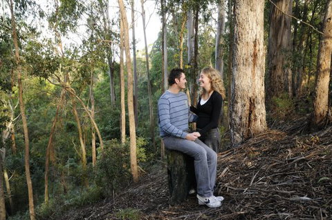 Goldsmith's In The Forest - Tourism Gold Coast 3