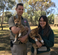 Kyabram Fauna Park - Tourism Gold Coast