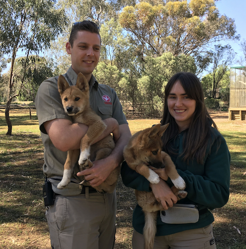 Kyabram Fauna Park - Tourism Gold Coast 0
