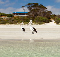 Kangaroo Island Star Beach House - Tourism Gold Coast