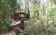 Snottygobble Loop Camp At DEntrecasteaux National Park - thumb 0