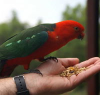 Barrington Tops Escapes - Tourism Gold Coast