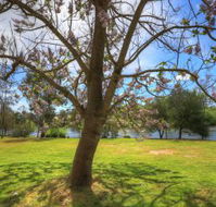 Breakaway Twin Rivers Caravan Park - Tourism Gold Coast
