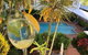 City Terraces - Holiday Apartments - thumb 1