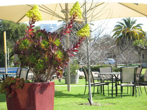 Wine Village Motor Inn - Tourism Gold Coast 3