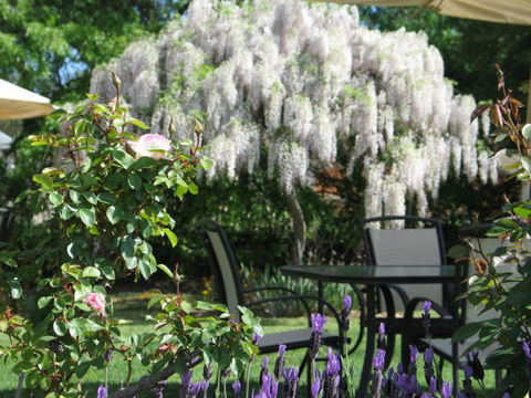 Wine Village Motor Inn - Tourism Gold Coast 5