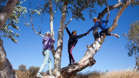 Hamilton Downs Youth Camp - Tourism Gold Coast 4
