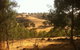 Jonathan Art Centre - Jarramarrumba House - thumb 6