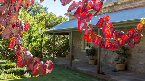 Grand Cru Estate Homestead - Tourism Gold Coast 0