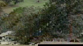 Koolunga SA Tourism Gold Coast