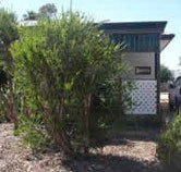 Loxton Smiffy's Bed And Breakfast Coral Street - Tourism Gold Coast