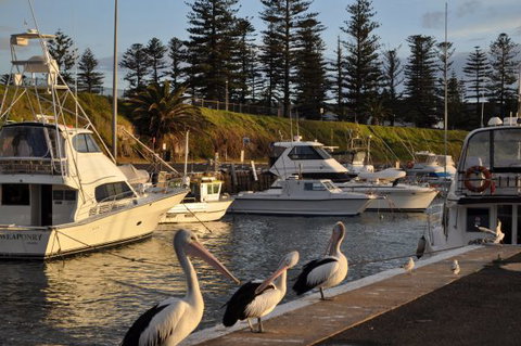 Nautica Accommodation Gerringong - Tourism Gold Coast 2
