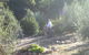 Olive Grove Retreat - thumb 5