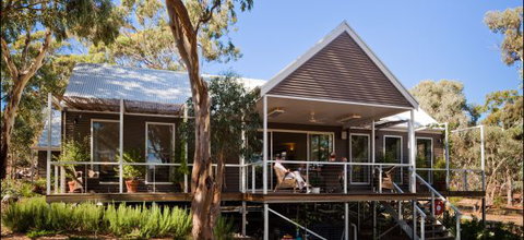 Thorn Park On The Island - Tourism Gold Coast 3