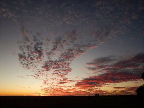 The Old Drik Drik Schoolhouse Retreat - Tourism Gold Coast 8