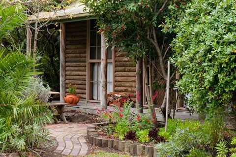 Ti-Tree Village Ocean Grove - Tourism Gold Coast 1