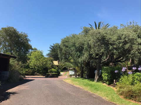 Ti-Tree Village Ocean Grove - Tourism Gold Coast 9