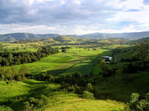 Water Gums Retreat - Tourism Gold Coast 1