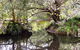 Water Gums Retreat - thumb 3