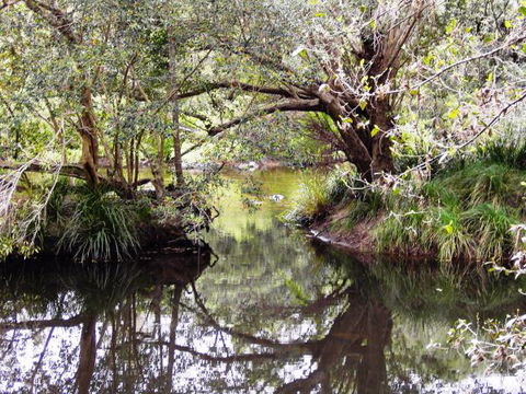 Water Gums Retreat - Tourism Gold Coast 3