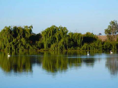 Westbrook Park - Tourism Gold Coast 2