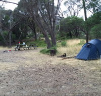 Allports Beach Camping Ground - Tourism Gold Coast
