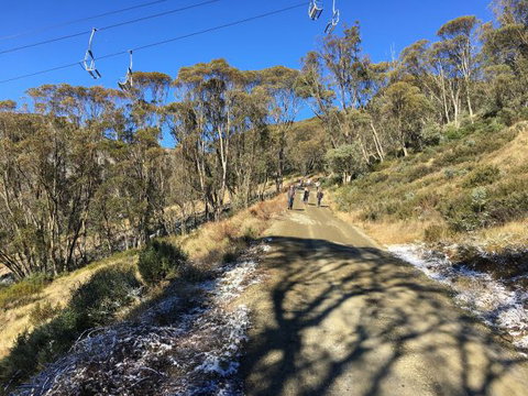 Arrabri Ski Club Hotham - Tourism Gold Coast 1