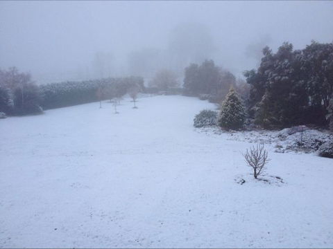 Avaleigh Elms Farmstay - Tourism Gold Coast 6