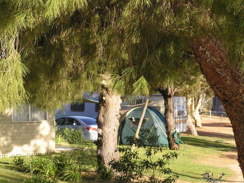 Barmera North Lake Caravan Park - Tourism Gold Coast 0