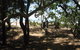 Cape Palmerston Holiday Park - thumb 3
