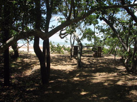 Cape Palmerston Holiday Park - Tourism Gold Coast 3