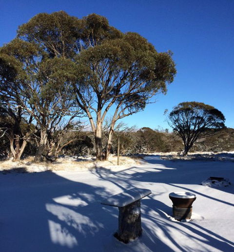 Cloud 9 Alpine Lodge - Tourism Gold Coast 9
