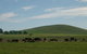 Heatherington Cottage - thumb 8