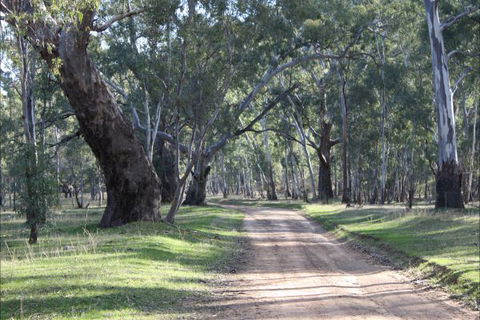 Hughes Park Cottage & Weddings - Tourism Gold Coast 2