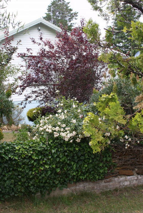 Katoomba Green Gables - Tourism Gold Coast 1