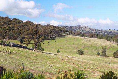 Longview Holiday Let Glenrowan - Tourism Gold Coast 5