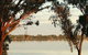 Barmera Lake Resort Motel - thumb 4