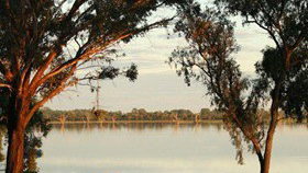 Barmera Lake Resort Motel - Tourism Gold Coast 4