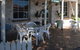 Guichen Bay Motel - thumb 0