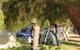 Barmera North Lake Caravan Park - thumb 4