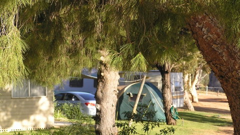 Barmera North Lake Caravan Park - Tourism Gold Coast 4